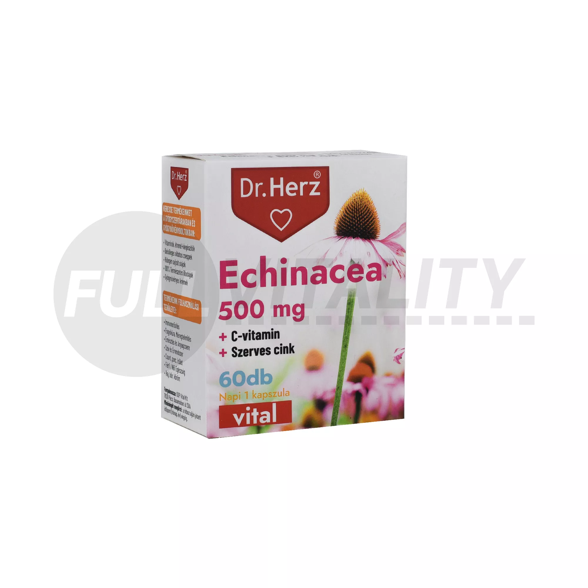 DR. HERZ ECHINACEA 500 MG + C-VITAMIN + SZERVES CINK 60DB